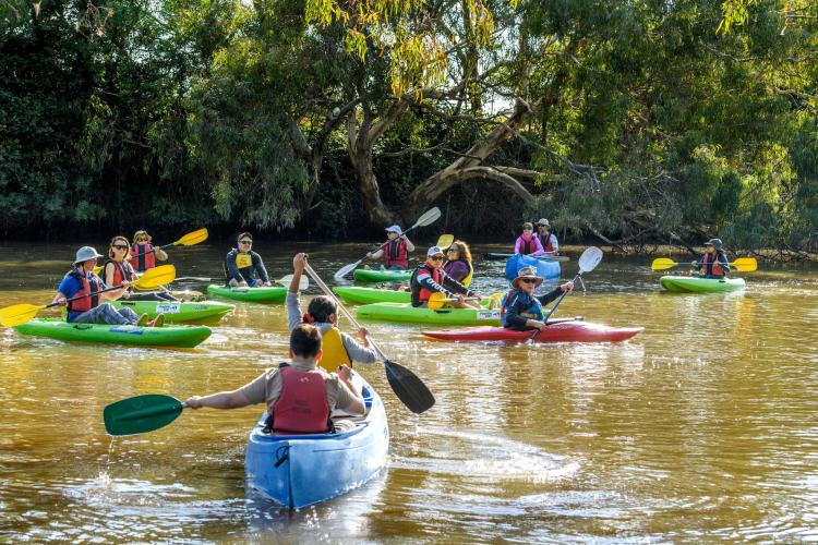 Group of people in kayaks on Werribee River