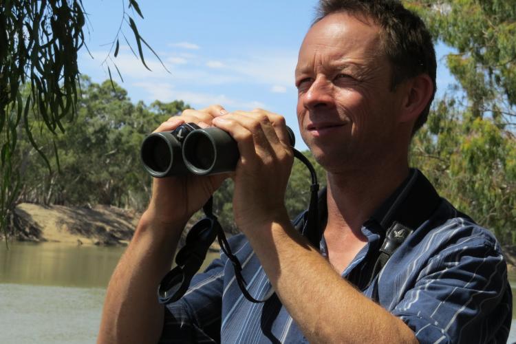 Firetail Birdwatching Tours - Guided birdwatching