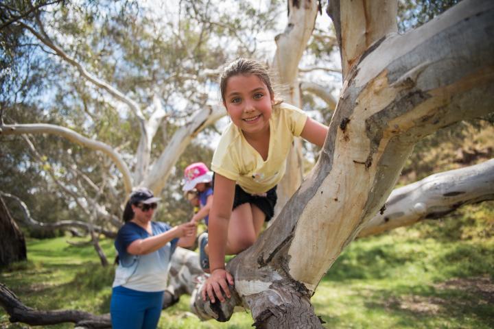 Family exploring and climbing a tree