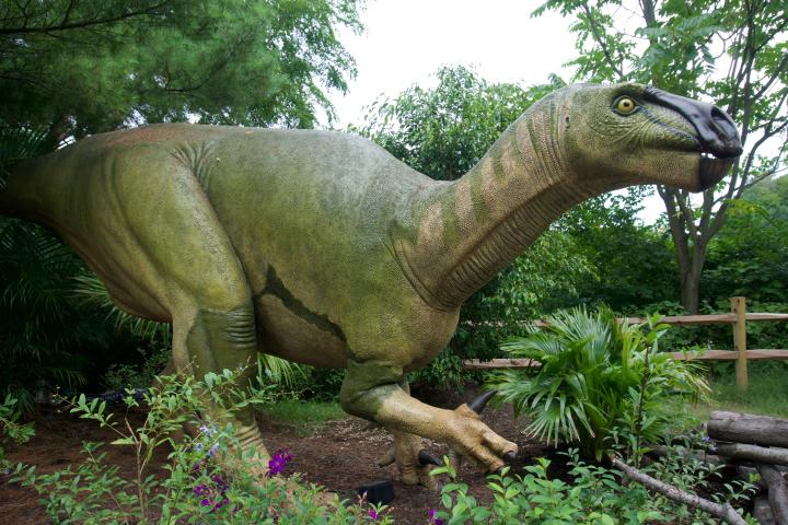 dino